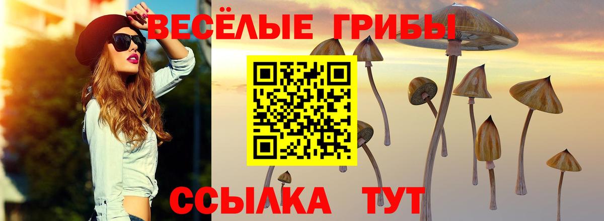 купить наркотик  Галлюциногенные грибы GOLDEN TEACHER  Вход с VPN  Лиски 
